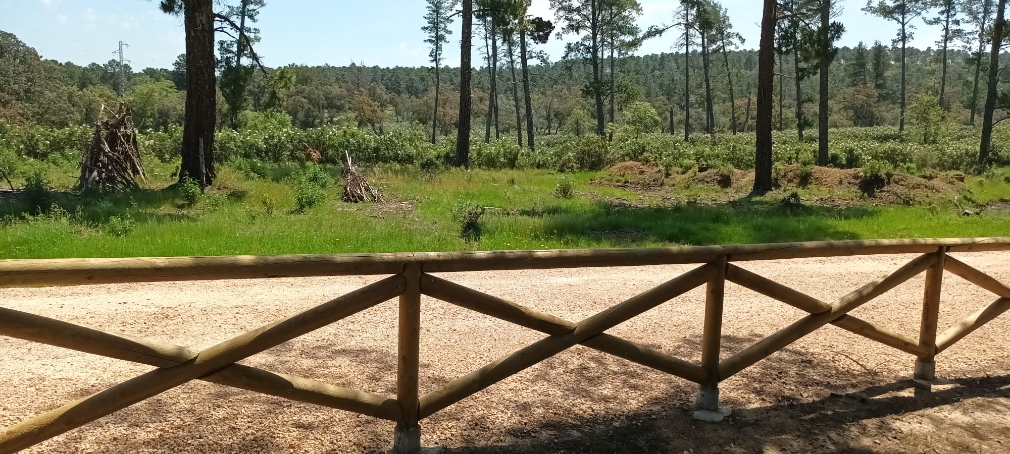 LLANO DE LAS AMÉRICAS